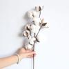 Kubert 5Pcs 20 inches 10 Heads Natural Dried Cotton Branches Farmhouse Artificial Flower Filler Floral Arrangement DIY Home Party Decor view 3