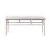 Coaster Home Furnishings Massi Tufted Upholstered Powder Pink and Ivory Bench (401156) view 4
