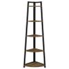 Coaster Home Furnishings - Rylan - Wood & Metal - 63-Inch 5-Tier Candner Bookshelf with Graduated Shelf Sizes and Tip-Over Restraint - Transitional - Home Office - Black & Aged Walnut - 805497 view 4