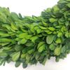 LMflorals 20 Inches Boxwood Wreath Preserved Green Leaves Wreath for Front Door Wall Window Hanging Wedding Party Decoration view 2