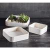 47th & Main Creative Brands Square Nested Trays, Set of 3, Natural Wood view 3