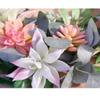 Wreaths LIU- Artificial Succulent Pastoral Style Summer, for Front Door Wall Window Indoor and Outdoor Home Wedding Decoration view 4