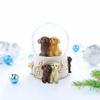 Dogs Party Musical Water Snow Globe view 2
