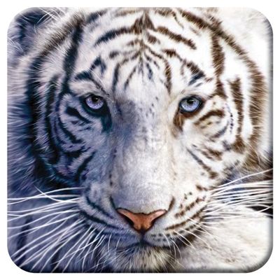 3D LiveLife Cork Coaster - White Tiger Repose from Deluxebase. Drinks Coaster with Lenticular 3D Animal Image. Non-Slip Protective Table Drink Mat for Home Decor and Decorative Accessories.