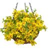 10 Inches Home Wedding Porch Decoration Chain Hanging Basket Flowers Grass Silk Daisy Flowers Indoors (Yellow) view 2
