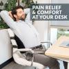 ComfiLife Lumbar Support Back Pillow Office Chair and Car Seat Cushion - Memory Foam with Adjustable Strap and Breathable 3D Mesh (Black) view 3
