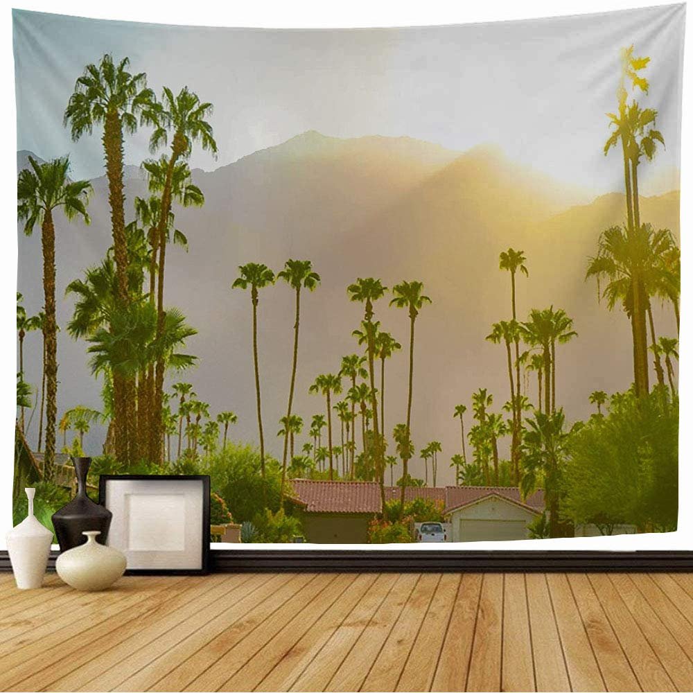 Starocha Tapestry Nature Architecture Desert Palm Springs Sunset Day Mountains Landmarks Parks Outdoor Silhouette Wall Tapestry Beach Tapestry for Bedroom Decor 80x60 Inch