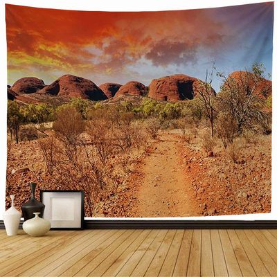 Starocha Tapestry Beautiful Colors Summer Landscape Australian Northern Blue People Outback Nature Natural Textures Wall Tapestry Beach Tapestry for Bedroom Decor 80x60 Inch