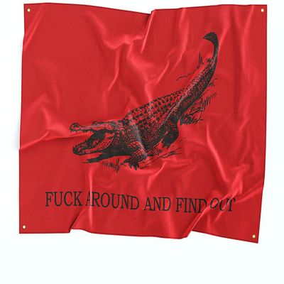 Damdekoli F*** Around and Find Out Fabric Tapestry Banner - Home Gym Flag - Motivational Quote Wall Art - FAAFO - Alligator (24 x 36 Inches)