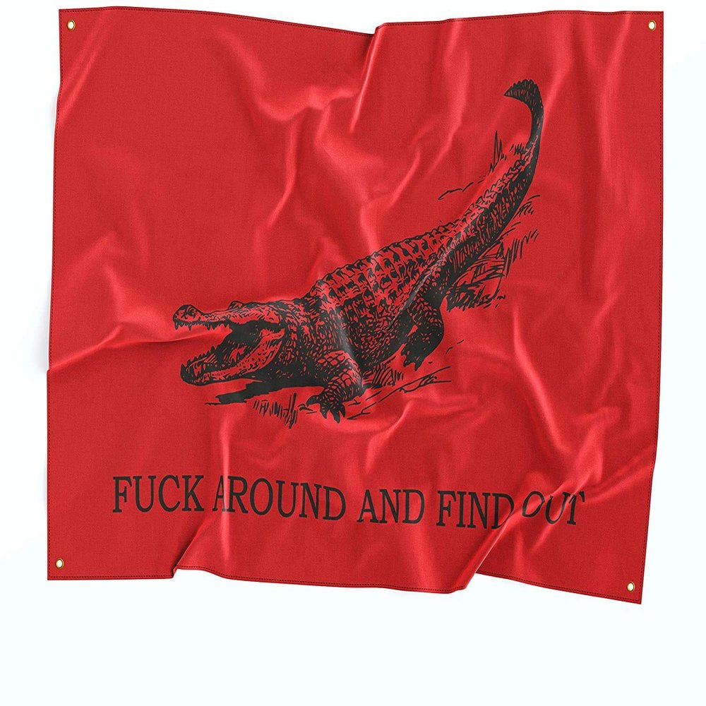 Damdekoli F*** Around and Find Out Fabric Tapestry Banner - Home Gym Flag - Motivational Quote Wall Art - FAAFO - Alligator (24 x 36 Inches)