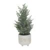 Flora Bunda 15.5 inch H Frosted Christmas Tree 4.75 inch Maple Leaf Ceramic Footed Pot Christmas Holiday Decoration,White view 1