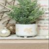 Flora Bunda 15.5 inch H Frosted Christmas Tree 4.75 inch Maple Leaf Ceramic Footed Pot Christmas Holiday Decoration,White view 4