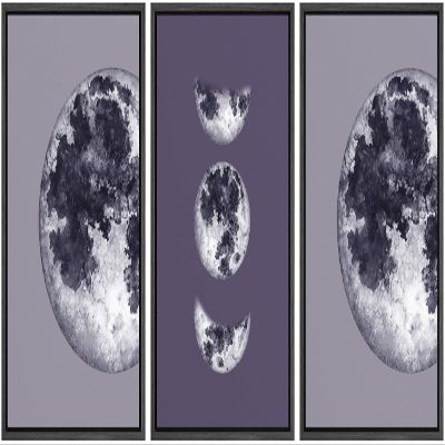 SIGNWIN 3 Piece Framed Canvas Wall Art Black and White Moon Canvas Prints Home Artwork Decoration for Living Room,Bedroom - 16"x24"x3 Panels