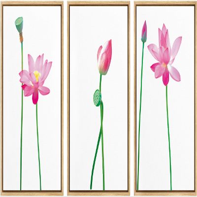 SIGNWIN 3 Piece Framed Canvas Wall Art Pink Lotus Flowers Canvas Prints Home Artwork Decoration for Living Room,Bedroom - 16"x24"x3 Panels