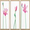 SIGNWIN 3 Piece Framed Canvas Wall Art Pink Lotus Flowers Canvas Prints Home Artwork Decoration for Living Room,Bedroom - 16"x24"x3 Panels view 1