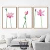 SIGNWIN 3 Piece Framed Canvas Wall Art Pink Lotus Flowers Canvas Prints Home Artwork Decoration for Living Room,Bedroom - 16"x24"x3 Panels view 3
