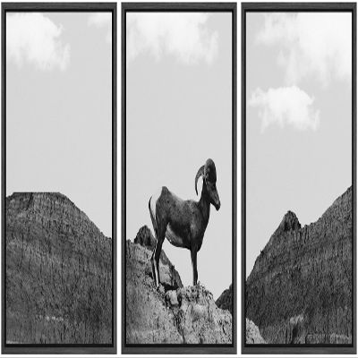 SIGNWIN 3 Piece Framed Canvas Wall Art Black and White Horse Standing in The Mountain Canvas Prints Home Artwork Decoration for Living Room,Bedroom - 16"x24"x3 Panels