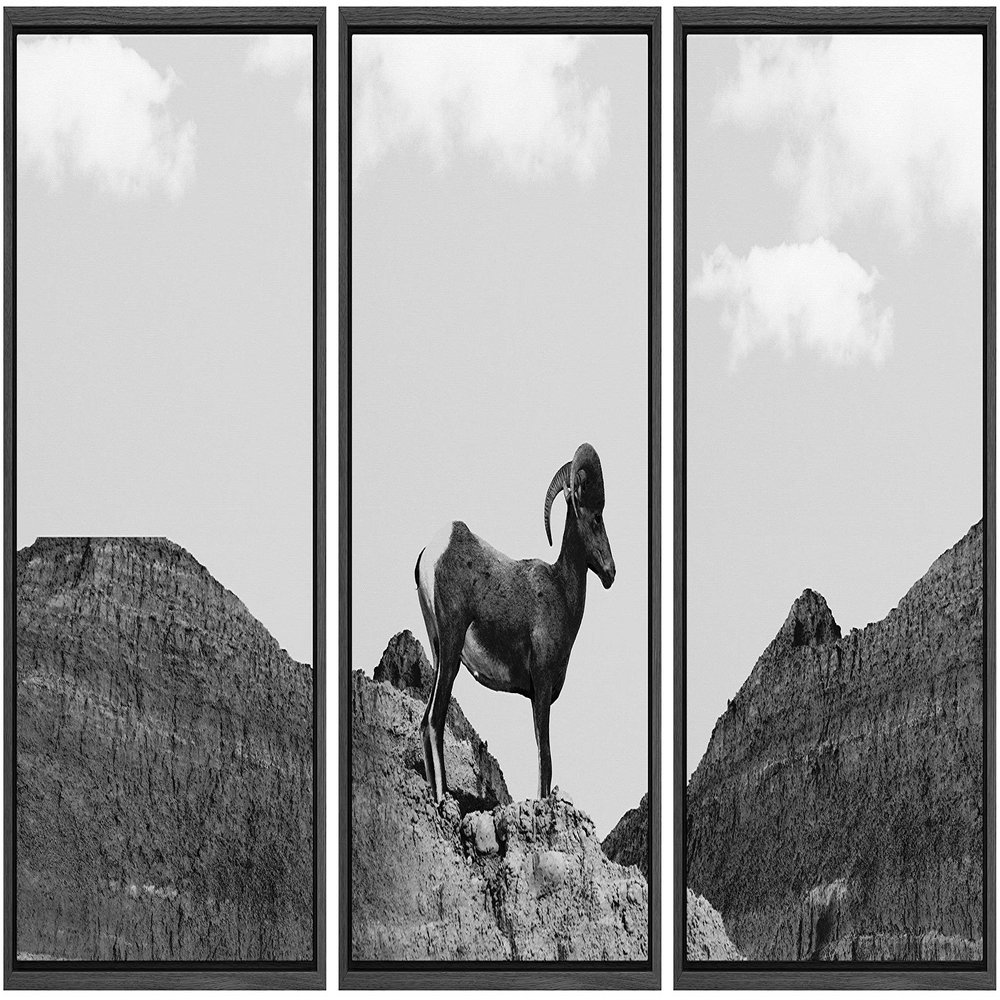SIGNWIN 3 Piece Framed Canvas Wall Art Black and White Horse Standing in The Mountain Canvas Prints Home Artwork Decoration for Living Room,Bedroom - 16"x24"x3 Panels