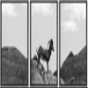 SIGNWIN 3 Piece Framed Canvas Wall Art Black and White Horse Standing in The Mountain Canvas Prints Home Artwork Decoration for Living Room,Bedroom - 16"x24"x3 Panels view 1