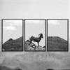 SIGNWIN 3 Piece Framed Canvas Wall Art Black and White Horse Standing in The Mountain Canvas Prints Home Artwork Decoration for Living Room,Bedroom - 16"x24"x3 Panels view 4