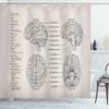 Ambesonne Anatomy Shower Curtain, Science Biology Diagram of Human Brain Illustration, Cloth Fabric Bathroom Decor Set with Hooks, 69" W x 70" L, Eggshell Tan view 1