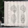 Ambesonne Anatomy Shower Curtain, Science Biology Diagram of Human Brain Illustration, Cloth Fabric Bathroom Decor Set with Hooks, 69" W x 70" L, Eggshell Tan view 3