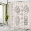 Ambesonne Anatomy Shower Curtain, Science Biology Diagram of Human Brain Illustration, Cloth Fabric Bathroom Decor Set with Hooks, 69" W x 70" L, Eggshell Tan view 4