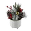 Flora Bunda Christmas Arrangement in in 6 inch Cracker Ceramic Footed Pot Holiday Home Dcor Centerpiece,Ivory view 1