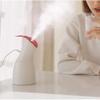 For Bedroom Home Mist Humidifiers For Mini Usb Humidifier, Large Capacity Disinfection Spray For Office Desktop, Beauty Humidifier-Big Red view 3