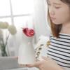 For Bedroom Home Mist Humidifiers For Mini Usb Humidifier, Large Capacity Disinfection Spray For Office Desktop, Beauty Humidifier-Big Red view 4