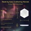 Om Zone Selenite Charging Plate for Cleansing Crystals & Healing Stones, Meditation, Reiki, Protection Crystals, Spiritual Gift (1, 6" Hexagon) view 3