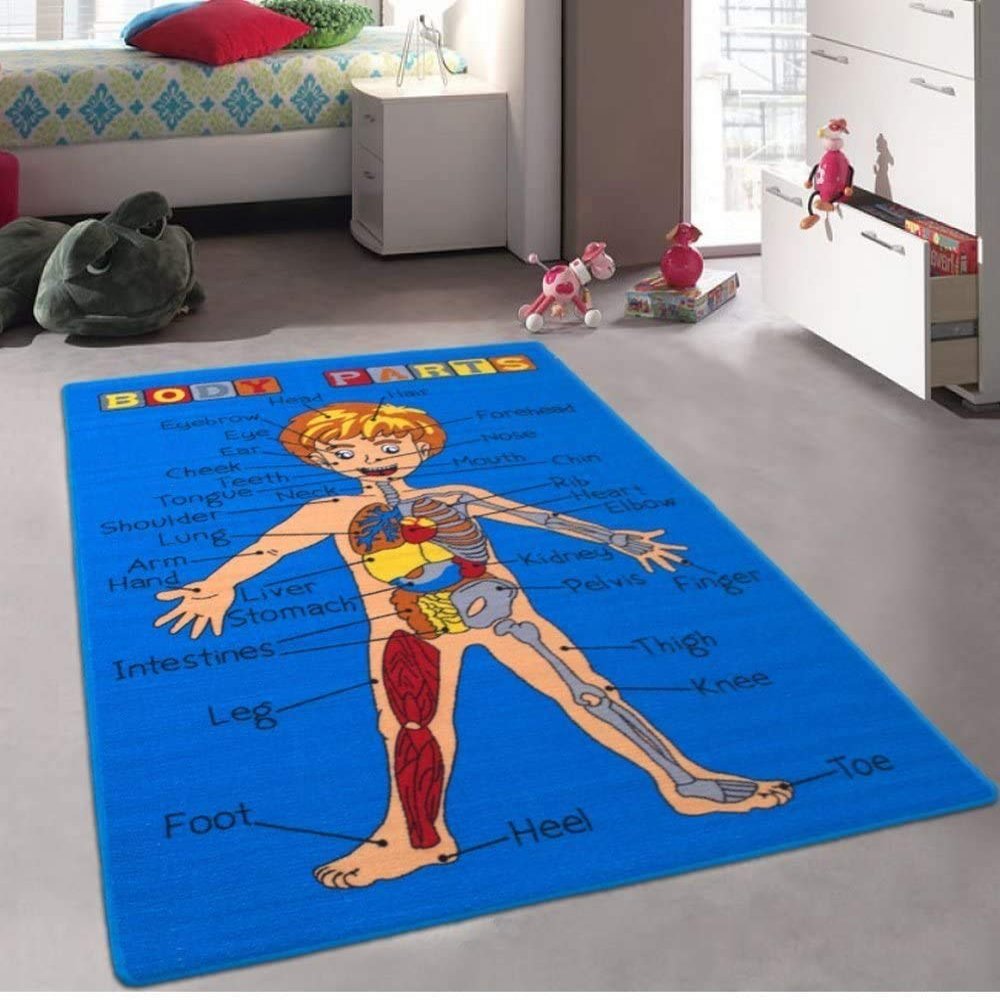 Champion Rugs Kids Area Rug. Body Parts. Science. Anatomy. Educational. Non-Slip Carpet (8 Feet X 10 Feet)