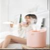 For Bedroom Home Mist Humidifiers For Double Nozzle Humidifier Usb Large Capacity Household Silent Bedroom Humidifier Office Empty Sprayer-Pink view 3