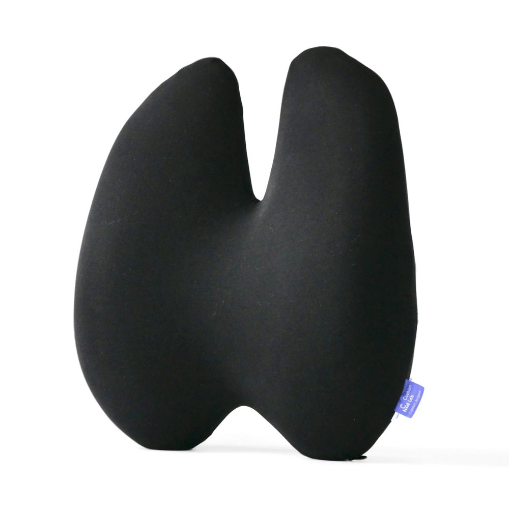 C CUSHION LAB Extra Dense Lumbar Pillow - Patented Ergonomic Multi-Region Firm Back Support for Lower Back Pain Relief - Lumbar Support Cushion with Strap for Office Chair, Car, Sofa, Plane - Black