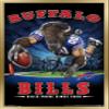 Trends International NFL Buffalo Bills - End Zone 17 Wall Poster, 22.375" x 34", Gold Framed Version view 1
