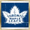 Trends International NHL Toronto Maple Leafs - Retro Logo 16 Wall Poster, 14.725" x 22.375", Gold Framed Version view 1