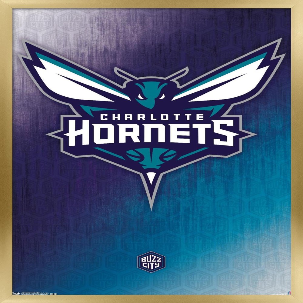 Trends International NBA Charlotte Hornets - Logo 14 Wall Poster, 14.725" x 22.375", Gold Framed Version