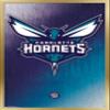 Trends International NBA Charlotte Hornets - Logo 14 Wall Poster, 14.725" x 22.375", Gold Framed Version view 1