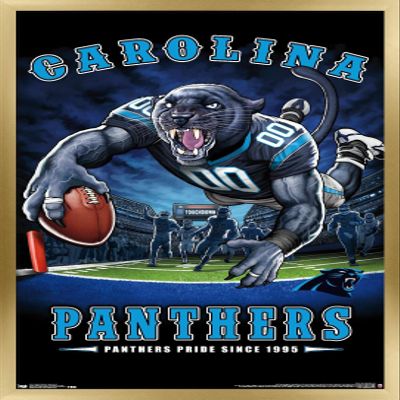 Trends International NFL Carolina Panthers - End Zone 17 Wall Poster, 22.375" x 34", Gold Framed Version