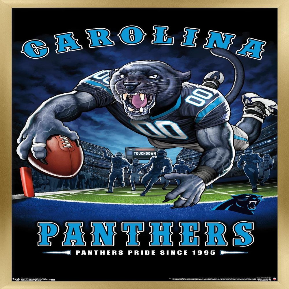 Trends International NFL Carolina Panthers - End Zone 17 Wall Poster, 22.375" x 34", Gold Framed Version