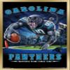Trends International NFL Carolina Panthers - End Zone 17 Wall Poster, 22.375" x 34", Gold Framed Version view 1