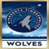 Trends International NBA Minnesota Timberwolves - Logo 18 Wall Poster, 14.725" x 22.375", Gold Framed Version view 1