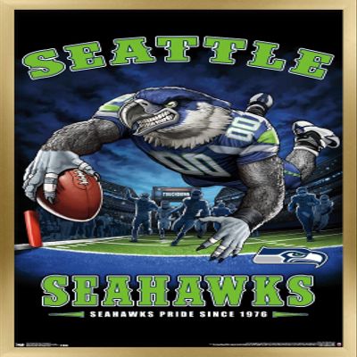 Trends International NFL Seattle Seahawks - End Zone 17 Wall Poster, 22.375" x 34", Gold Framed Version