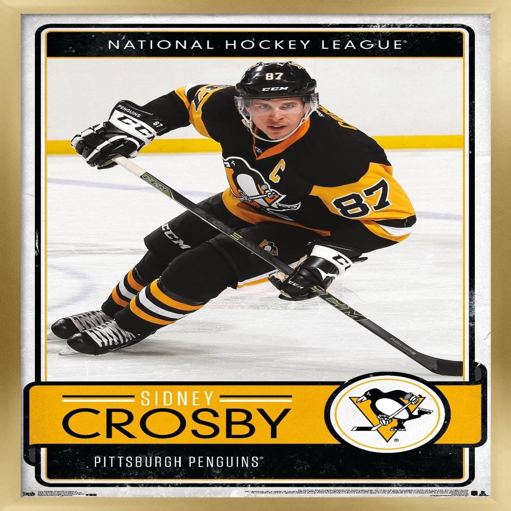Trends International NHL Pittsburgh Penguins - Sidney Crosby 16 Wall Poster, 14.725" x 22.375", Gold Framed Version