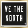 Trends International NBA Toronto Raptors - We The North 16 Wall Poster, 14.725" x 22.375", Gold Framed Version view 1