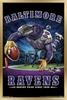 Trends International NFL Baltimore Ravens - End Zone 17 Wall Poster, 22.375" x 34", Gold Framed Version view 1