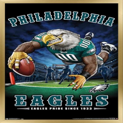 Trends International NFL Philadelphia Eagles - End Zone 17 Wall Poster, 14.725" x 22.375", Gold Framed Version