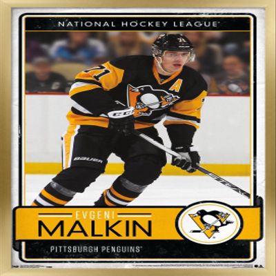 Trends International NHL Pittsburgh Penguins - Evgeni Malkin 16 Wall Poster, 22.375" x 34", Gold Framed Version