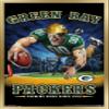 Trends International NFL Green Bay Packers - End Zone 17 Wall Poster, 22.375" x 34", Gold Framed Version view 1