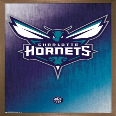 Trends International NBA Charlotte Hornets - Logo 14 Wall Poster, 22.375" x 34", Bronze Framed Version